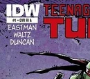 Teenage Mutant Ninja Turtles issue 1 (IDW)