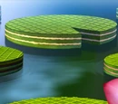 Waflotuses