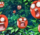 Surprise Apple