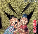 Volume 23