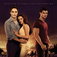Breaking Dawn - Part 1