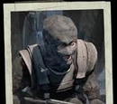 Images of Vodnik