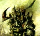 Typhus