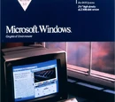 Windows 3.0