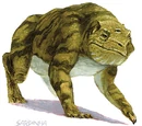Grolm