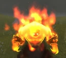 Burning Exile