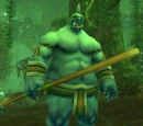 Gordunni Shaman