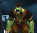 Kurg