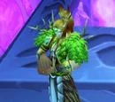 Elven druid