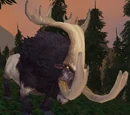 Shoveltusk Calf