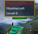 Haomarush