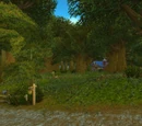 Elwynn Forest