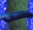 Devious Great-Eel
