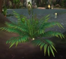 Sandfern