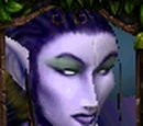 Archer (Warcraft III)
