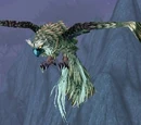 Arthorn's Sparrowhawk