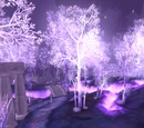 Crystalsong Forest