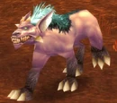 Frenzied Plaguehound