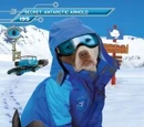 Card 195: Antarctic Arnold