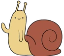 Snail