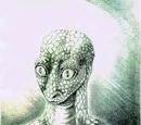 Reptoid