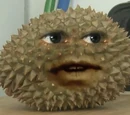 Spike