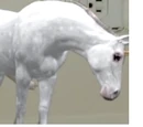 Marshmallow's Mother