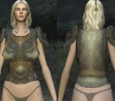 Bloodsire Harness