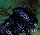 Gorilla Alien