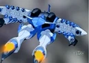 Macubass-back.jpg
