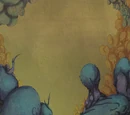 Lepidopterra
