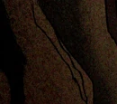 Gwen Tennyson (Gwen 10 Timeline)