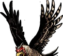 Ninja Hawk +
