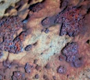 Reducción-oxidación