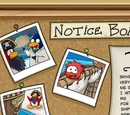 Notice Board