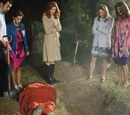 Season 8
