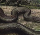 Titanoboa