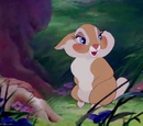 Miss Bunny