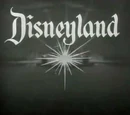 Disneyland (TV series)