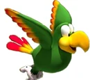 Squawks the Parrot