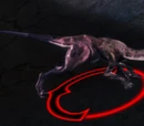 Sand stalker