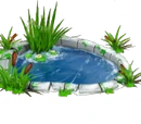 Ami'Lya Pond