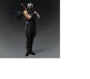 Ryu Hayabusa