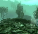 Hill of Suicides