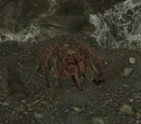 Dark Brotherhood Pets (Skyrim)