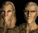 Altmer (Skyrim)