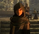 Court Wizard