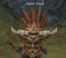 Goblin Priest