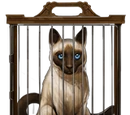 Gato Siamés