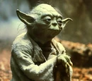 Yoda